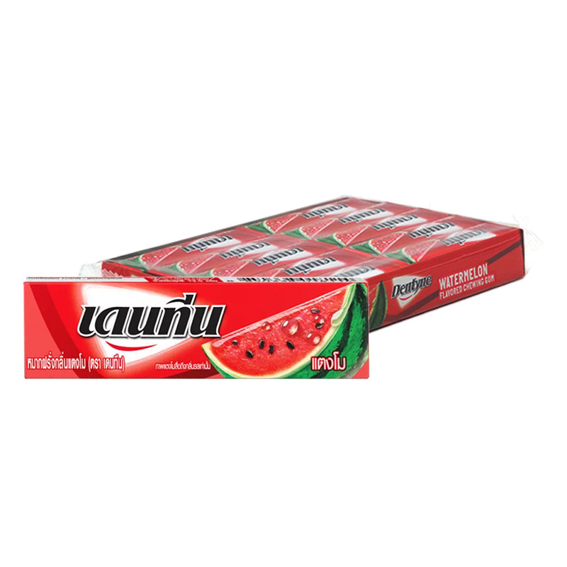 DENTYNE Stick Gum Watermelon 12.5g x 20