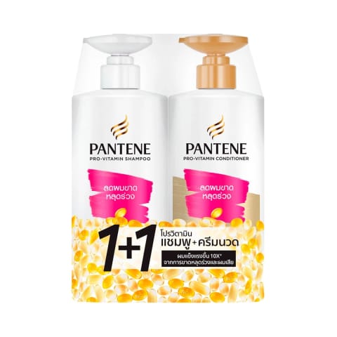 PANTENE Hair Fall Control Shampoo 380ml + Conditioner 340ml