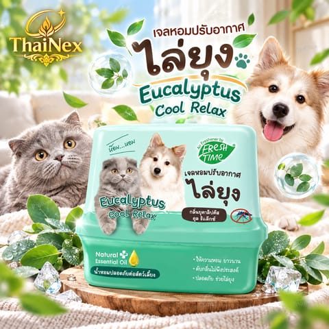 Air Freshener by Fresh Time Eucalyptus Cool Relax 180g